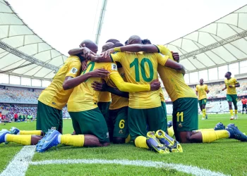 Bafana Bafana