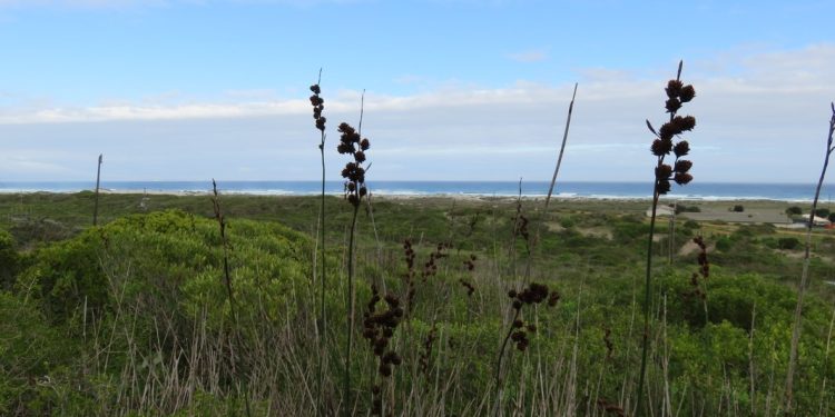 Natural Reserve Under Major Threat. Koeberg To Be Given To The United States After Elections