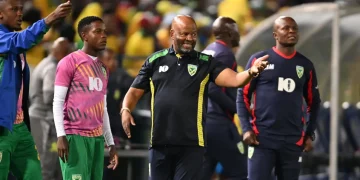 Arrows coach Manqoba Mngqithi